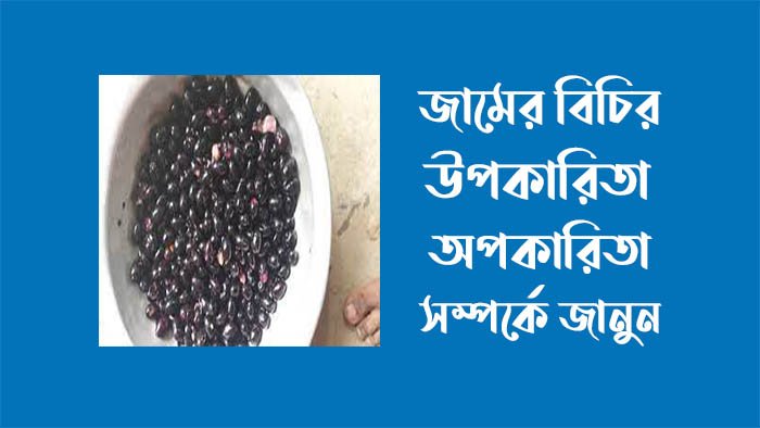 জামের বিচির উপকারিতা ও অপকারিতা