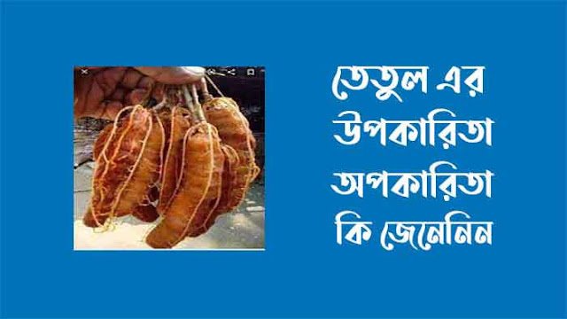 তেতুলের উপকারিতা ও অপকারিতা তেতুলের উপকারিতা ও অপকারিতা