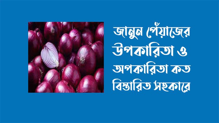 পেঁয়াজের উপকারিতা ও অপকারিতা