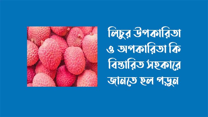 লিচুর উপকারিতা ও অপকারিতা