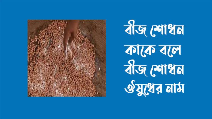 বীজ শোধন কাকে বলে - বীজ শোধন ঔষধের নাম