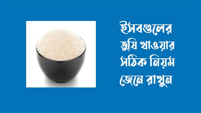ইসবগুলের ভুষি খাওয়ার নিয়ম