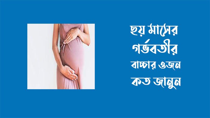 ৬ মাসের গর্ভবতী বাচ্চার ওজন