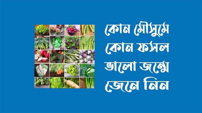 কোন মৌসুমে কোন ফসল ভালো জন্মে