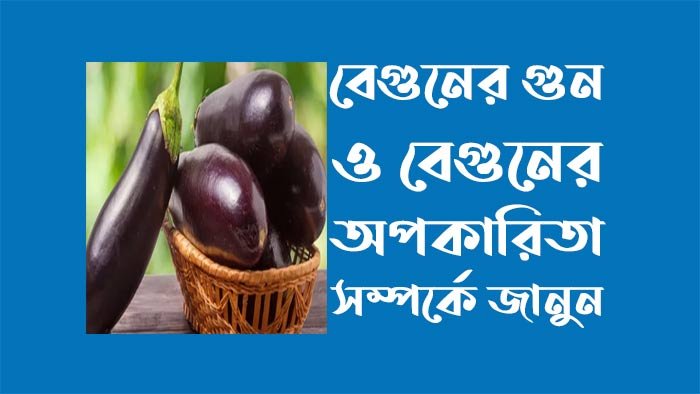 বেগুনের যত গুন