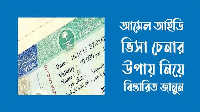 আমেল আইডি ভিসা চেনার উপায় নিয়ে বিস্তারিত