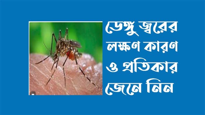 ডেঙ্গু জ্বরের লক্ষণ কারণ ও প্রতিকার ডেঙ্গু জ্বরের লক্ষণ কারণ ও প্রতিকার